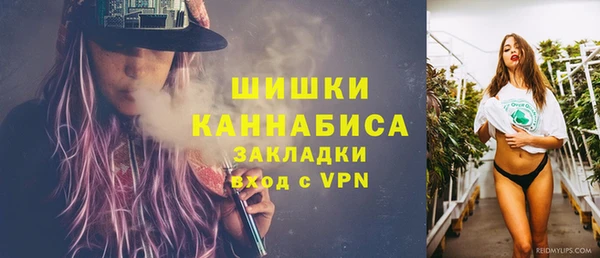 стаф Костерёво