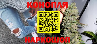 сатива Дубна