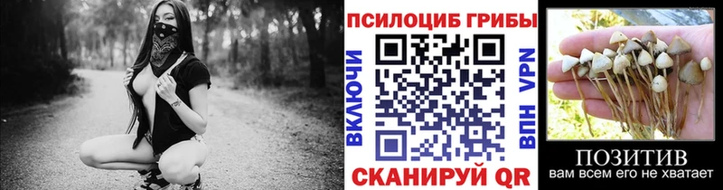 где продают Кандалакша даркнет какой сайт Псилоцибиновые грибы Cubensis