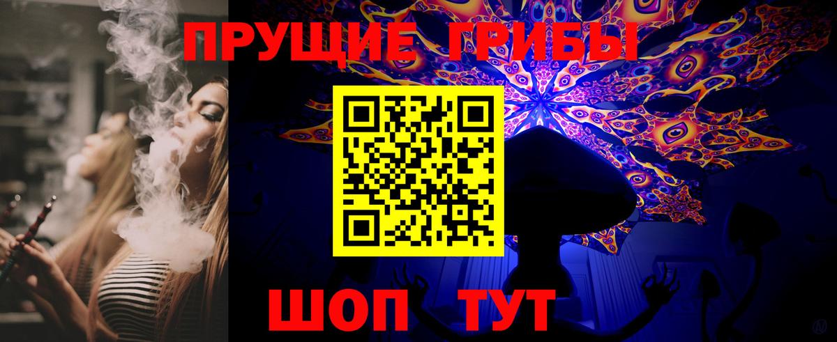Псилоцибиновые грибы Psilocybe  Вход с VPN  Псилоцибиновые грибы мухоморы  Кандалакша 